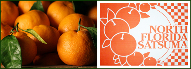 Satsuma Product Boxes